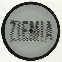 Load image into Gallery viewer, Various : Ziemia 002 (12", EP)
