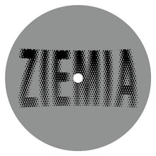 Load image into Gallery viewer, Various : Ziemia 002 (12", EP)