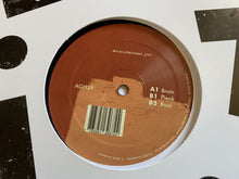 Load image into Gallery viewer, Cyrana : Plekkie (12")