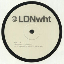 Load image into Gallery viewer, Various : LDNwht 007 (12")