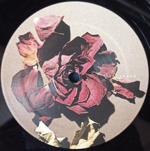 Load image into Gallery viewer, Yant : Hydro (12", EP)