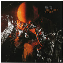 Load image into Gallery viewer, Various : The Future is Fixed (2x12")