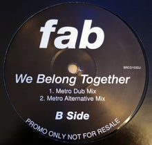 Load image into Gallery viewer, Fab* : We Belong Together (12", Promo)