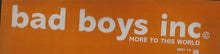 Load image into Gallery viewer, Bad Boys Inc. : More To This World (12", Promo)