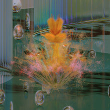 Load image into Gallery viewer, Various : Sharpen, Moving (2x12", Comp)