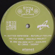 Load image into Gallery viewer, Various : Tiny Planet Vol 3 (12")