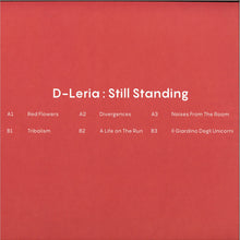 Load image into Gallery viewer, D-Leria : Still Standing (12")