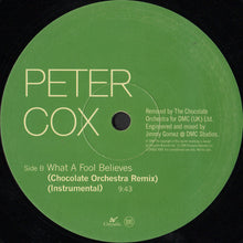 Load image into Gallery viewer, Peter Cox : What A Fool Believes (12", Promo)