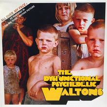Load image into Gallery viewer, The Dysfunctional Psychedelic Waltons : All Over My Face (12", Promo)