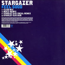 Load image into Gallery viewer, Stargazer (8) : Feel Good (12")