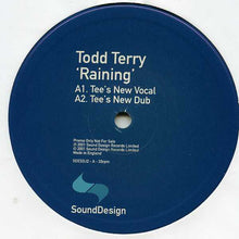 Load image into Gallery viewer, Todd Terry : Raining / Enough Is Enough (2x12", Promo)