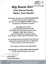 Load image into Gallery viewer, Big Room Girl Feat. Darryl Pandy : Raise Your Hands (12", Single, Promo)