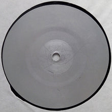 Load image into Gallery viewer, State Of House : Ceratopsia (12")