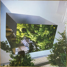 Load image into Gallery viewer, VTSS : Borderline Tenderness (12", EP)