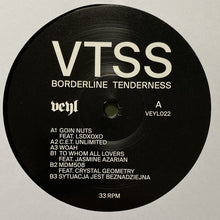 Load image into Gallery viewer, VTSS : Borderline Tenderness (12", EP)