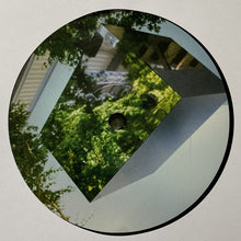 Load image into Gallery viewer, VTSS : Borderline Tenderness (12", EP)