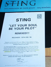 Load image into Gallery viewer, Sting : Let Your Soul Be Your Pilot (A & G Remixes) (12", Promo, W/Lbl)