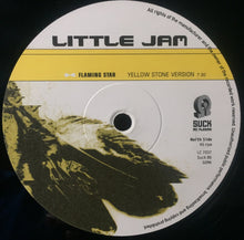 Load image into Gallery viewer, Little Jam : Flaming Star (12")