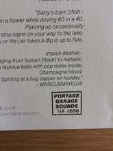 Load image into Gallery viewer, 2Lanes* : Baby's Born To Fish... / Impish Desires (12", Single, RP)