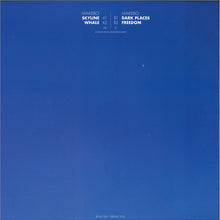 Load image into Gallery viewer, Makebo : Skyline (12", EP)