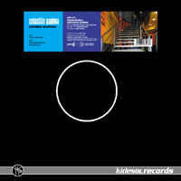 Load image into Gallery viewer, Sebastián Gamboa* : Gatinha Gostosa (12")