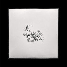 Load image into Gallery viewer, Șerb : Transient Recs 2 (12", EP, han)