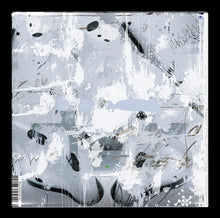 Load image into Gallery viewer, Vina Konda : Osseous Labyrinth (12", EP)