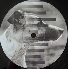 Load image into Gallery viewer, Jackson Ryland : Most Necessary (12")