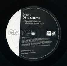 Load image into Gallery viewer, Dina Carroll : Here / Special Kind Of Love / The Perfect Year (2x12", Promo)