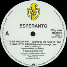 Load image into Gallery viewer, Esperanto (12) : Love Is The Answer (12")
