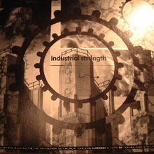 Load image into Gallery viewer, Caustic Visions : The Second Sighting (12")