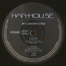 Load image into Gallery viewer, Metamorphosis (2) : S-Trip (12")