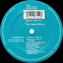 Load image into Gallery viewer, The Colour Of Love : Living Love (12")