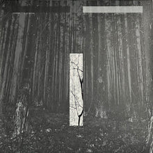 Load image into Gallery viewer, Chris Liebing : Another Day (2xLP, Album, Gat)