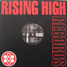 Load image into Gallery viewer, BUG* : BUG 04 (12")