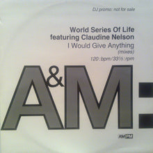 Load image into Gallery viewer, World Series Of Life featuring Claudine Nelson : I Would Give Anything (12", Promo)