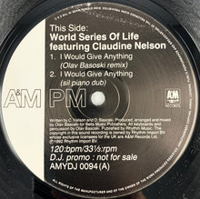 Load image into Gallery viewer, World Series Of Life featuring Claudine Nelson : I Would Give Anything (12", Promo)