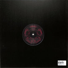 Load image into Gallery viewer, Pinz & Pelz : When We Are Entwined (12", EP)