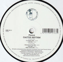 Load image into Gallery viewer, Plexus : Cactus Rhythm (12", RE)