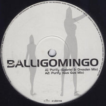 Load image into Gallery viewer, Balligomingo : Purify (12", Promo)