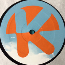 Load image into Gallery viewer, Raccoon : Fly With Me (12")