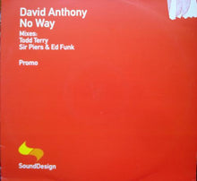 Load image into Gallery viewer, David Anthony : No Way (12", Promo)