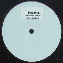 Load image into Gallery viewer, GTR : Flood Control (12", Promo, W/Lbl)