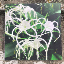 Load image into Gallery viewer, Céilí / Asquith : Back Once Again EP (12", EP)