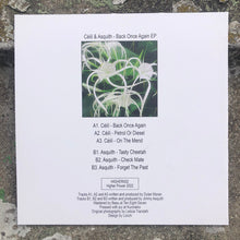 Load image into Gallery viewer, Céilí / Asquith : Back Once Again EP (12", EP)