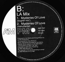 Load image into Gallery viewer, L.A. Mix : Mysteries Of Love (12")