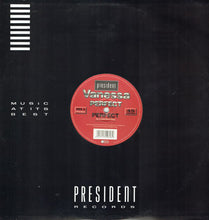 Load image into Gallery viewer, Vanessa (4) : Perfect (12")