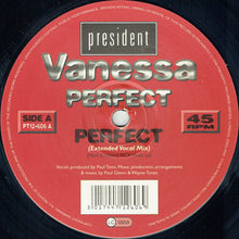 Load image into Gallery viewer, Vanessa (4) : Perfect (12")