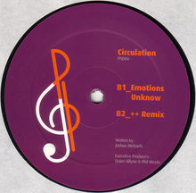 Load image into Gallery viewer, Circulation (2) : Patterins (12")