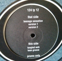 Load image into Gallery viewer, Credit To The Nation : Teenage Sensation (12", Promo)